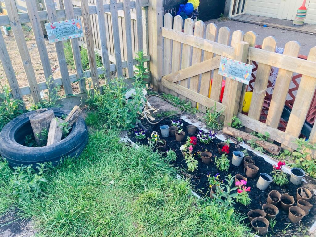 Outdoor garden area